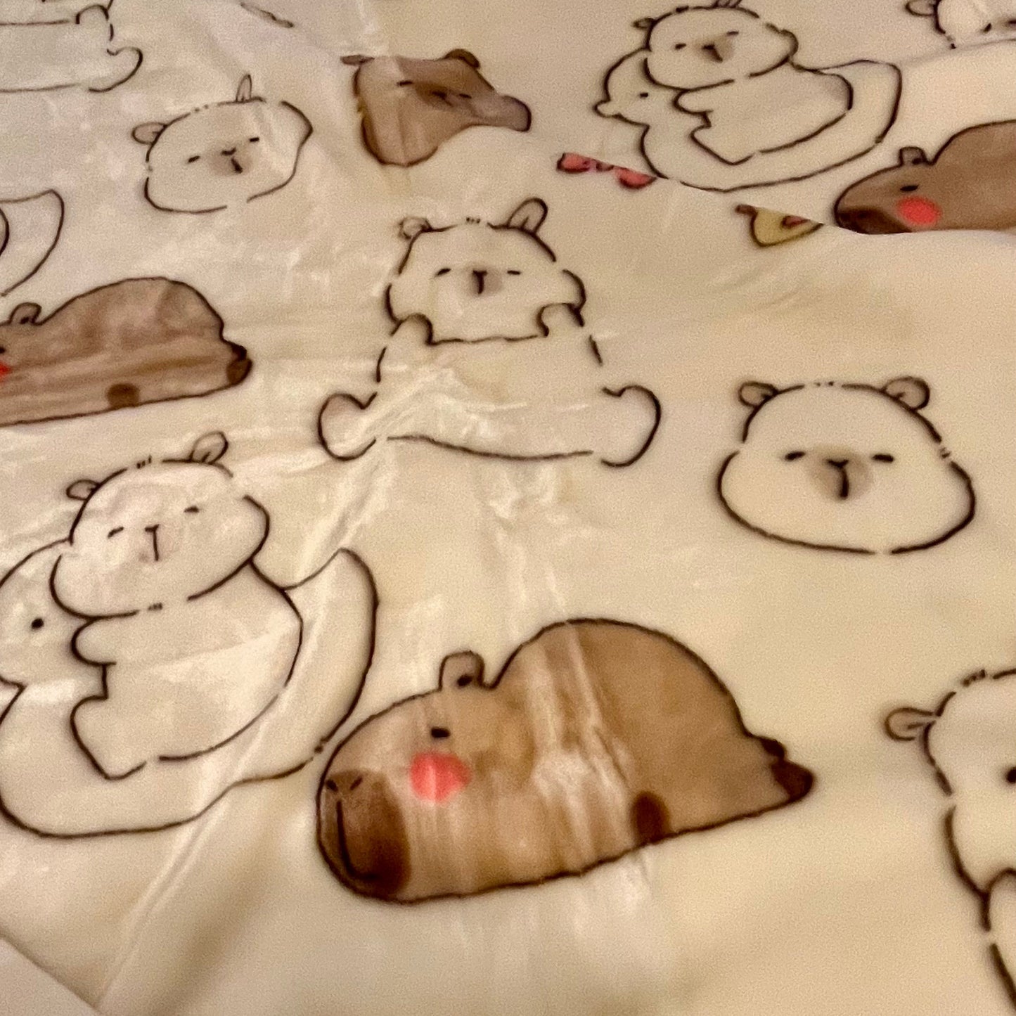 冬季毛毯高克重拉舍尔牛奶绒法兰绒｜拉皮巴拉噜噜-超柔软 双面暖绒 防静电 | SleepNest床上用品